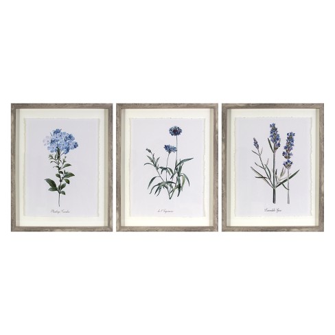 (Set of 11) 11"x11" Framed Vintage Botanicals Decorative Wall Art -  Threshold™