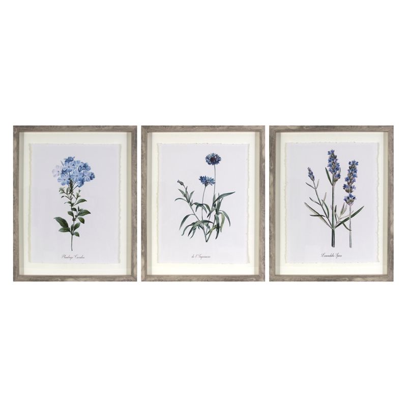 (Set of 3) 16&#34;x20&#34; Framed Vintage Botanicals Decorative Wall Art Natural/Blue - Threshold&#8482;, 1 of 10