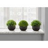 NicBex Set of 3 Succulent in Cement Pots, 6"H Faux Fake Plants Artificial Plants Indoor, Tabletop Greenery for Desk, Shelf & Windowsill Decor - 3 of 4