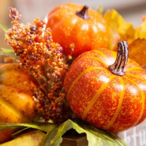 Evergreen Pumpkin and Berry Artifical with Sentiments Table Decor - 1 of 3