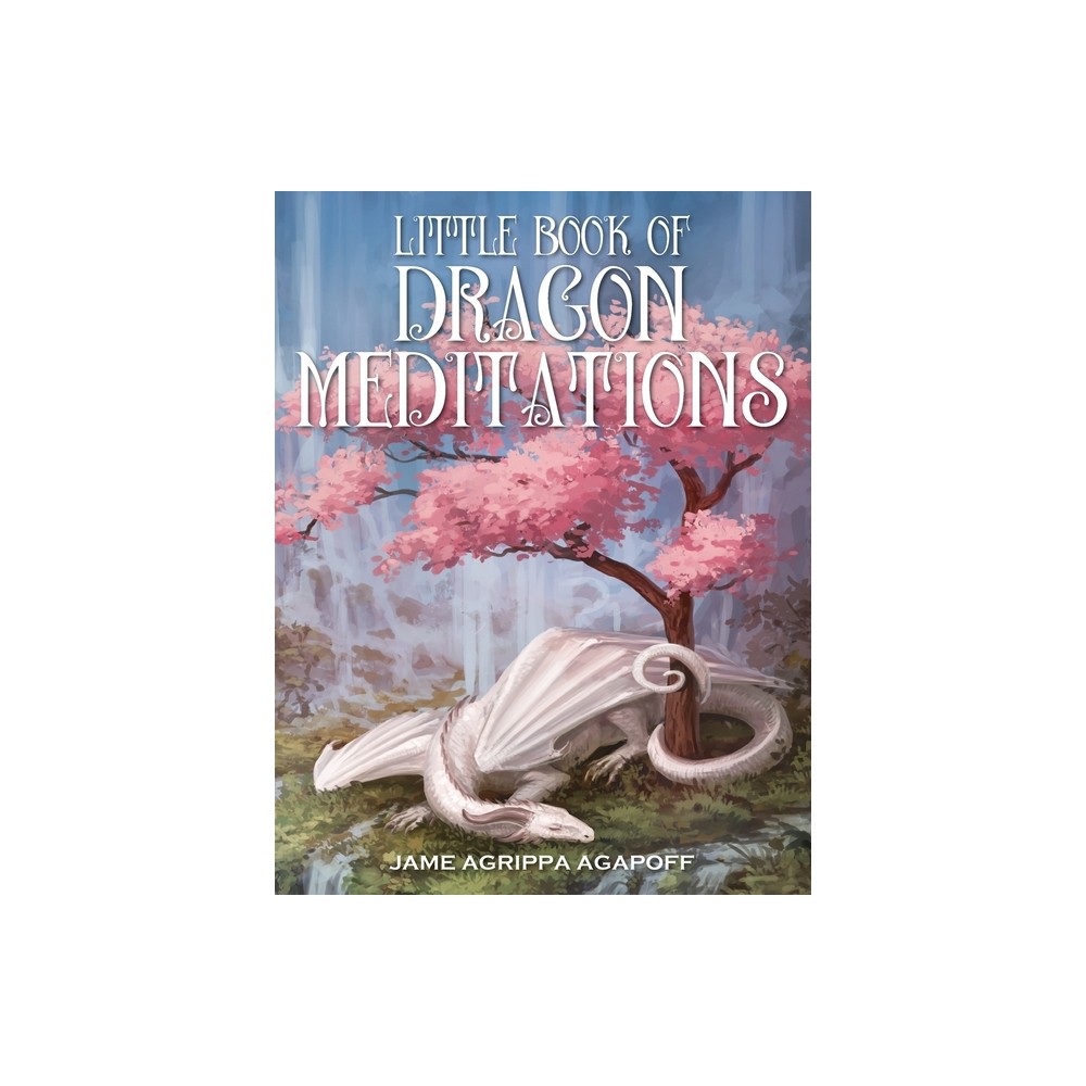 Little Book of Dragon Meditations - by James R Agapoff (Hardcover)