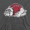 Gardner-Webb University Official Distressed Primary Adult Pull-Over Hoodie - 2 of 4