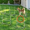 Gulches 3 PC Dog Agility Equipment Set for Obstacle Training and Exercise Dog Toys - 2 of 4