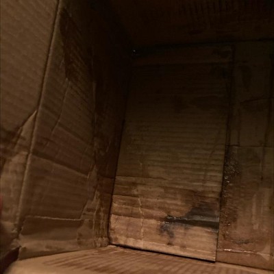 Guest review image 1 of 1, zoom in