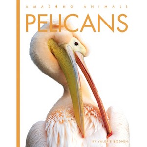 Pelicans - (Amazing Animals) by  Valerie Bodden (Paperback) - 1 of 1