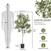 Racxily 5FT Artificial Tree Olive Tree with Branches and Fruits Faux Greenery for Indoor Home and Office Decoration (1 set) - 2 of 4