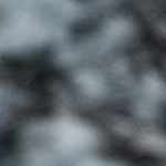 charcoal, light blue, light gray, rust, mustard