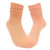 Peach Slouch Socks the Sock Panda (Women's Sizes, Adult Medium) - Lightweight - 2 of 3