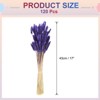 Unique Bargains Decorative Natural Dried Floral Bunny Tail Artificial Plants 120 Pcs - 2 of 4