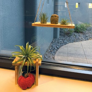 Air Plant Stand and Swing Collection - 1 of 4