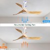 Wanze of Ocean 52 in. Indoor/Outdoor White Ceiling Fan with Remote Control and 6-Speed Reversible DC Motor - 3 of 4