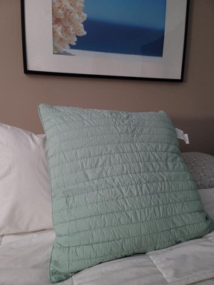 Euro Camila Quilted Sham Taupe : Target