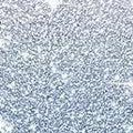 glitter blue