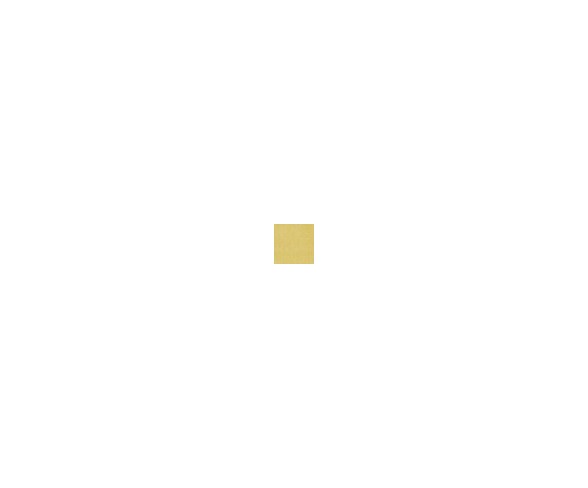 Lisbon Border Accent Rug - Gold (2'X9' Runner)