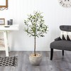 Nearly Natural 50-in Olive Artificial Tree in Sand Colored Planter - 3 of 4