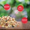 Lyric 20lb Fruit and Nut High Energy Mix Wild Bird Food: Attracts Cardinals, Woodpeckers & More - 3 of 4
