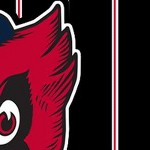 st louis cardinals 1950s