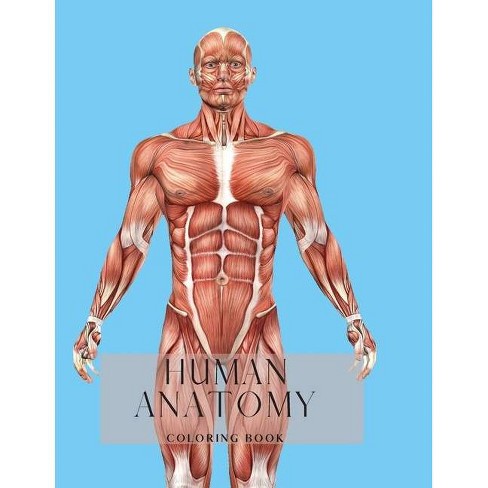 Download Human Anatomy Coloring Book By Constant John Paperback Target