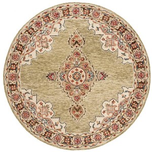 Aspen APN506 Hand Tufted Area Rug  - Safavieh - 1 of 3