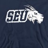 St. Edward's University Official Distressed Primary Logo Adult Pull-Over Hoodie - 2 of 4