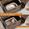 Acekool Hidden Cat Litter Cabinet - Discreet Corner Design with Pull-Out Tray & Plant Shelf - 4 of 4