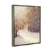 Stupell Industries Snowy Winter PathFloater Canvas Wall Art - 3 of 4
