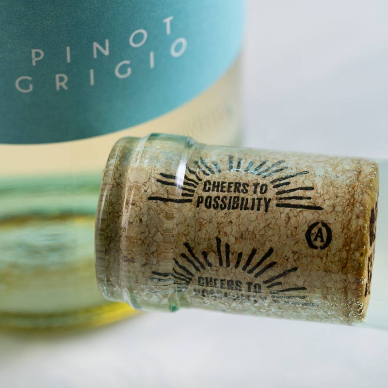 Open Skies Pinot Grigio - 750ml Bottle, 5 of 7
