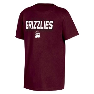 NCAA Montana Grizzlies Boys' Core T-Shirt - 1 of 3