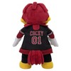 Bleacher Creatures South Carolina Gamecocks Cocky 10" Mascot Plush Figures - image 3 of 4