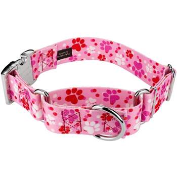 Country Brook Petz 1 1/2 Inch Puppy Love Martingale with Premium Buckle Dog Collar