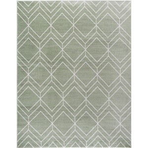 Adirondack ADR241 Non-Shedding Power Loomed Indoor Rugs - Safavieh - 1 of 4