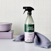 Lavender & Bergamot All Purpose Disinfecting Spray - 28 fl oz - Everspring™ - 2 of 3