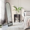 Brewster Aria Black Arched Mirror: 60-in Modern Floor, Metal Frame, Freestanding, 18-in Wide - 2 of 4