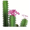Artificial Cactus, 36" Faux Flowering Cacti Realistic Lifelike Fake Cactus Plant With Planter, Fake Big Cactus Plants For Indoor Outdoor Home Office - 4 of 4