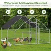 Metal Chicken Coop - 3 of 4