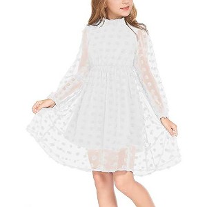 Arshiner Girls Dress Long Sleeve Swiss Dot Ruffle Collar Flowy A-Line Party Dress for Kids - 1 of 4