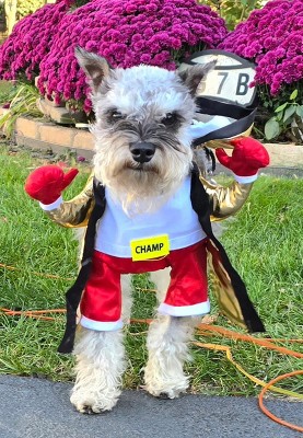 Guest review image 4 of 6, zoom in