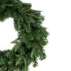Northlight Roosevelt Fir Artificial Christmas Wreath - 24" - Unlit - 4 of 4