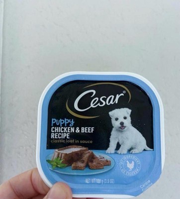 Cesar Classic Loaf In Sauce Chicken And Beef Flavor Small Breed Puppy Wet Dog Food 3.5oz Target