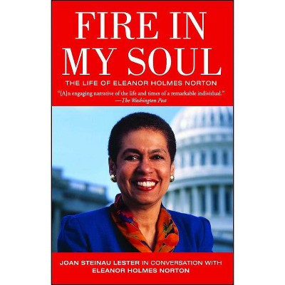 Fire in My Soul - by  Joan Steinau Lester (Paperback)