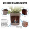 KTMBDW Ceramic Plant Pots Set of 3, Planters with Drainage Holes, Flower Pot Outdoor Indoor - 3 of 4
