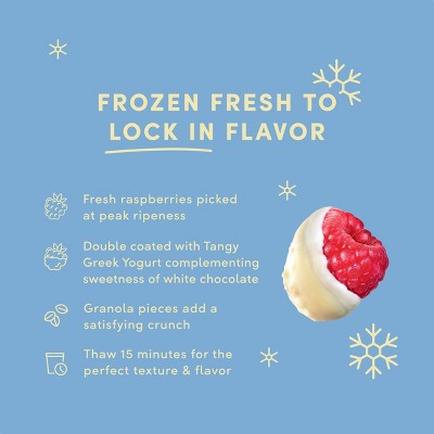 Tru Fru White Chocolate Raspberries Greek Yogurt with Granola - 8oz