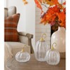 Transpac 9 in Clear Harvest Crackle Pumpkin Set of 3 with Curled Stalks Fall Decorative Objects - 2 of 4