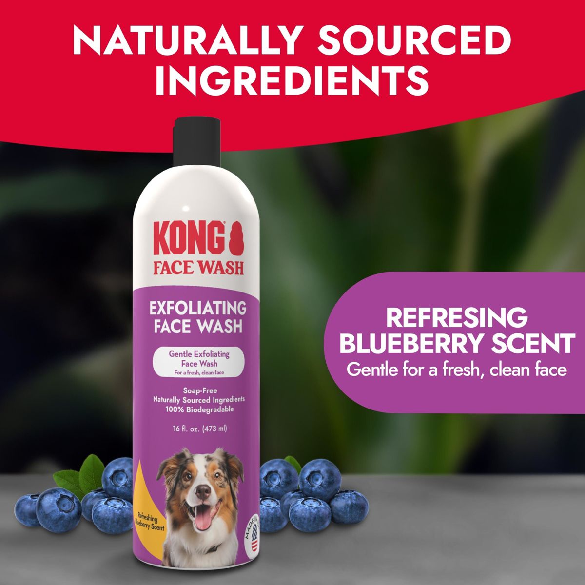 KONG Exfoliating Berry Scented Dog Shampoo - 16 fl oz - thumbnail 2