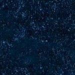 loni navy