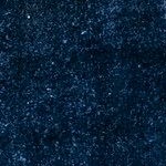 loni navy