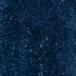 loni navy
