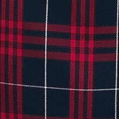 classic navy large plaid