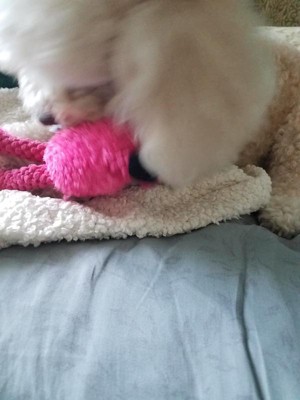 Guest review image 1 of 4, zoom in