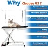Coucheta Professional Electric Dog Grooming Table, Pet Grooming Table for Large Dogs Heavy Duty Height Adjustable With Dog Grooming Arm - 4 of 4